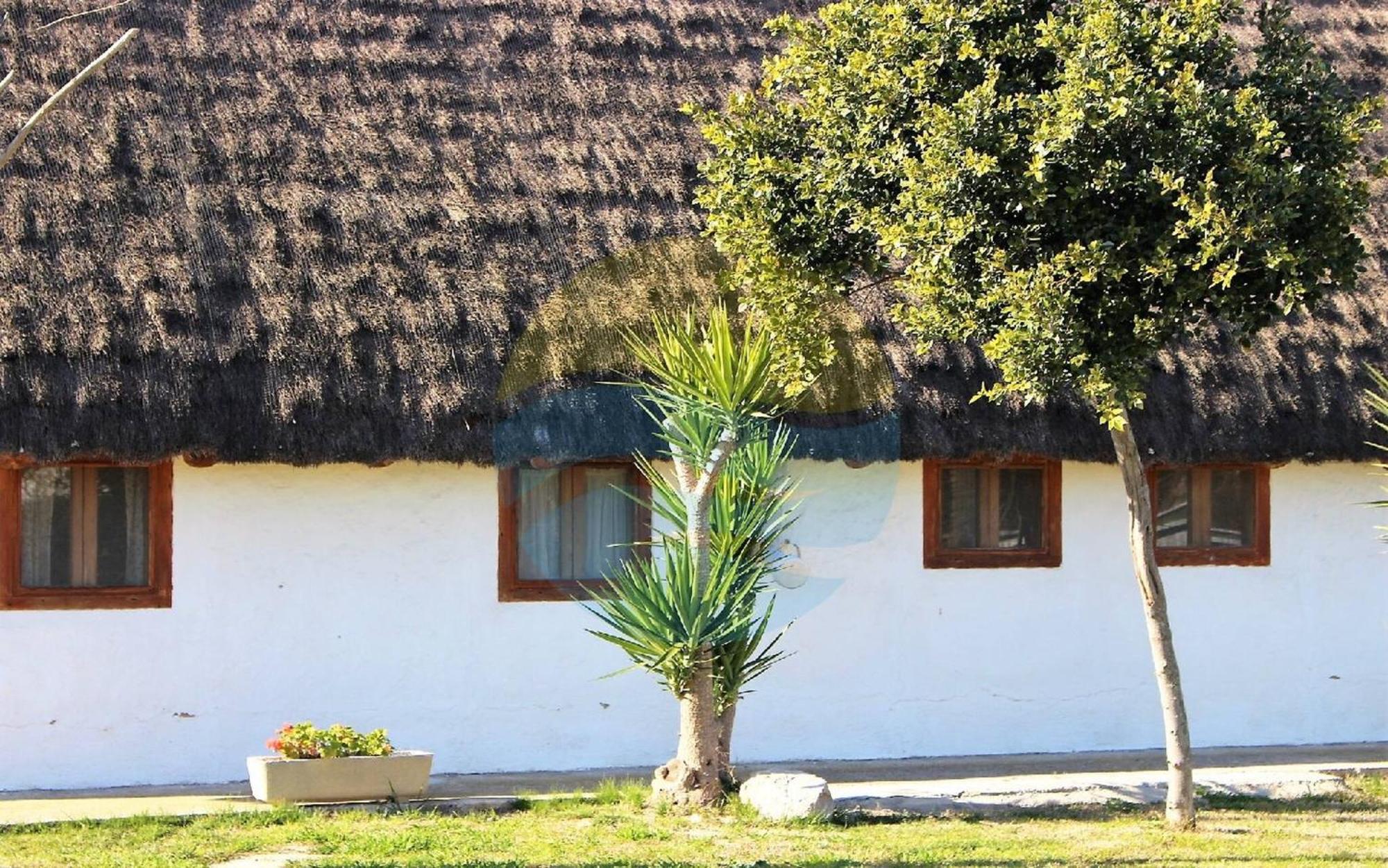 Вилла Barraca Tipica Del Delta, Con Piscina, Jardin Y Barbacoa - Deltavacaciones Сан-Жауме-де-Энвежа Экстерьер фото